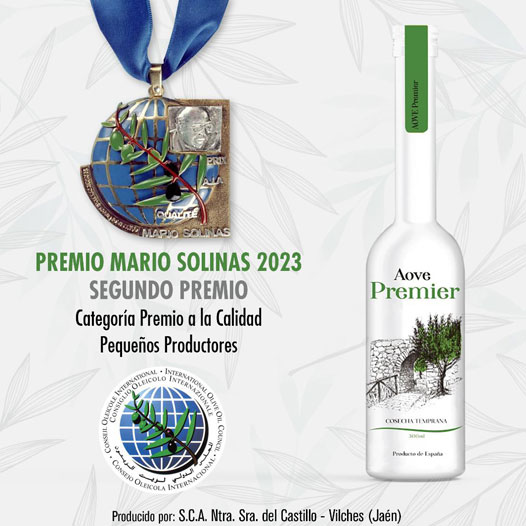 🥈SEGUNDO PREMIO🥈 MARIO SOLINAS 2023